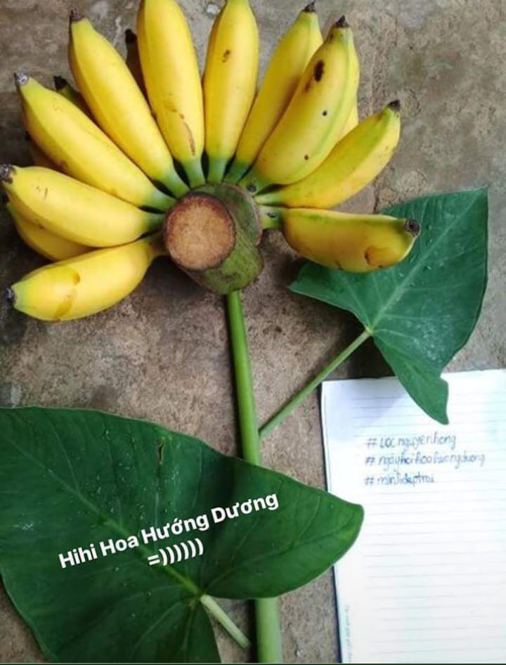 Khi hoa tay có hạn nhưng sức sáng tạo thì có thừa.