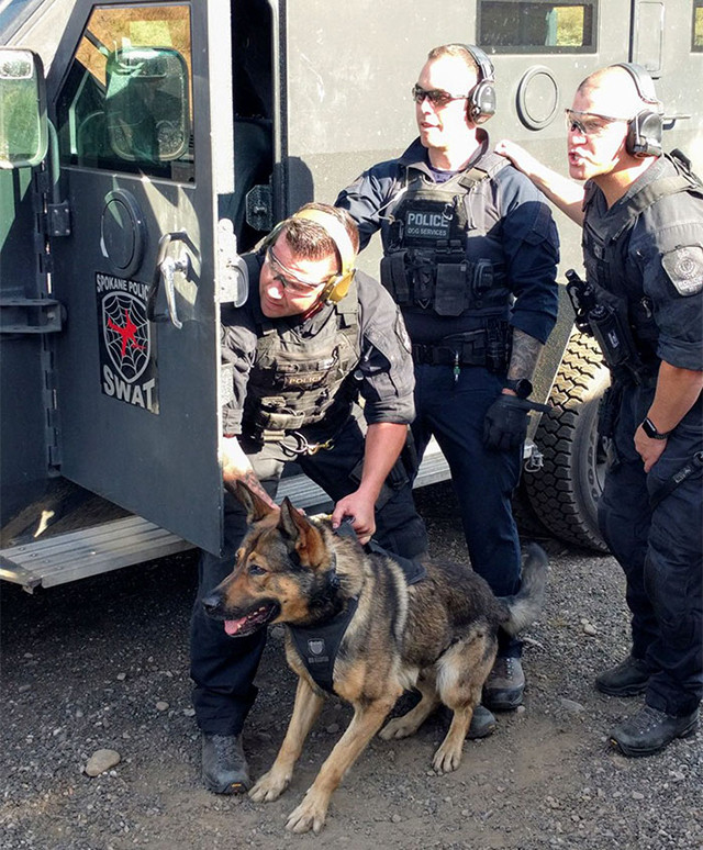 Toàn bộ số tiền thu được từ việc bán lịch sẽ được quyên góp cho Quỹ ung thư B.C và Bệnh viện nhi đồng B.C.