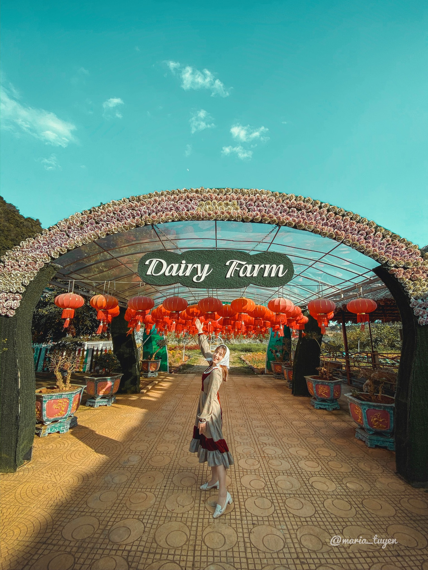 Đến với nông trại Dairy Farm các bạn sẽ được tìm hiểu và trải nghiệm tực tế về quy trình chăn nuôi bò sữa