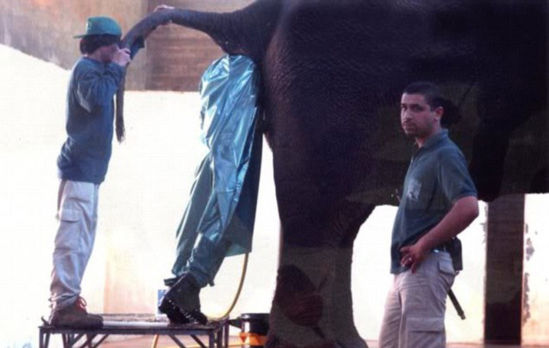 Những công việc khủng khiếp nhất thế giới, thách bạn dám làm! ảnh 7