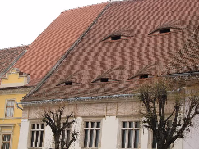 Những ngôi nhà "có mắt" độc đáo ở Sibui