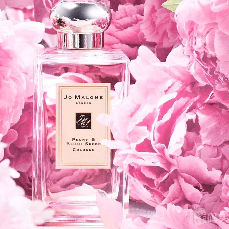 Niche Perfume - nước hoa không dành cho số đông ảnh 2