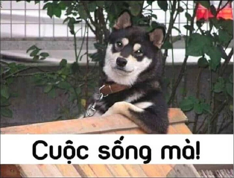 Ừ, cuộc sống mà!