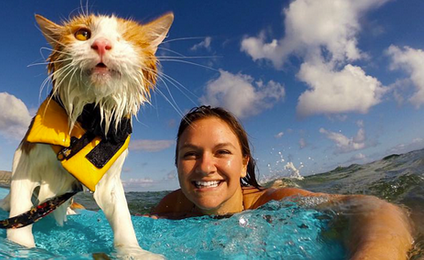 Không chỉ trông nhà hay bắt chuột, những boss này có khả năng hơn thế nhiều! ảnh 3