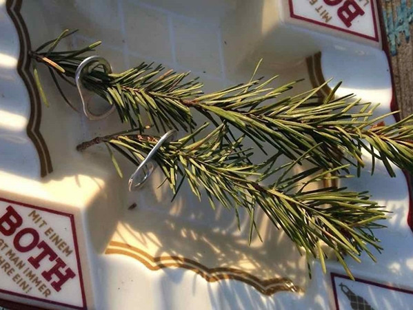 Hai món quà của gia đình quạ dành cho ân nhân.