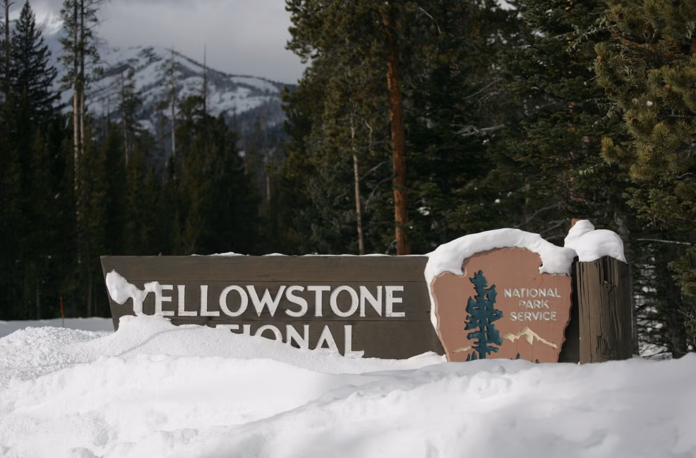 Mặc dù có tới năm cổng vào Yellowstone nhưng lối vào phía Đông Bắc sẽ mở ra cho du khách cảnh quan ngoạn mục nhất.