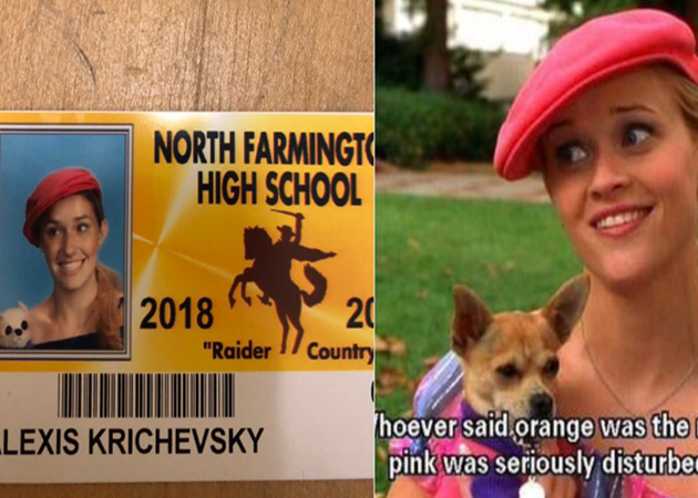 Luật sư Tóc vàng hoe đây!