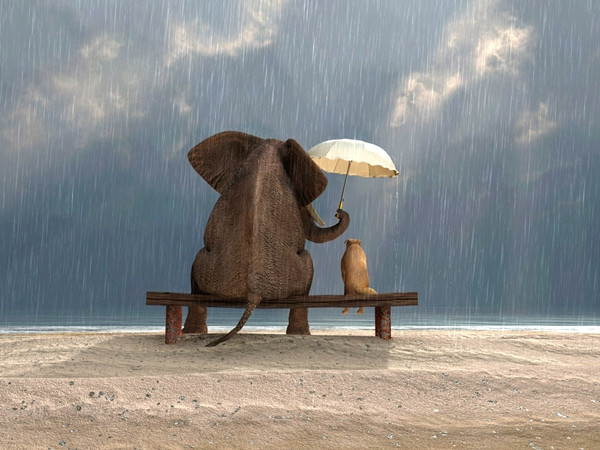 Một việc làm tử tế là một việc làm đúng đắn.