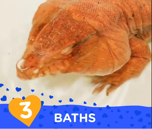 Cảm giác nằm trong bồn tắm mới sảng khoải biết bao.