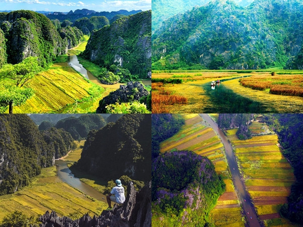 Đẹp lụy tim con đường gỗ giữa cánh đồng sen đang nở rộ ở Hang Múa (Ninh Bình) ảnh 12 Đẹp lụy tim con đường gỗ giữa cánh đồng sen đang nở rộ ở Hang Múa (Ninh Bình) ảnh 12