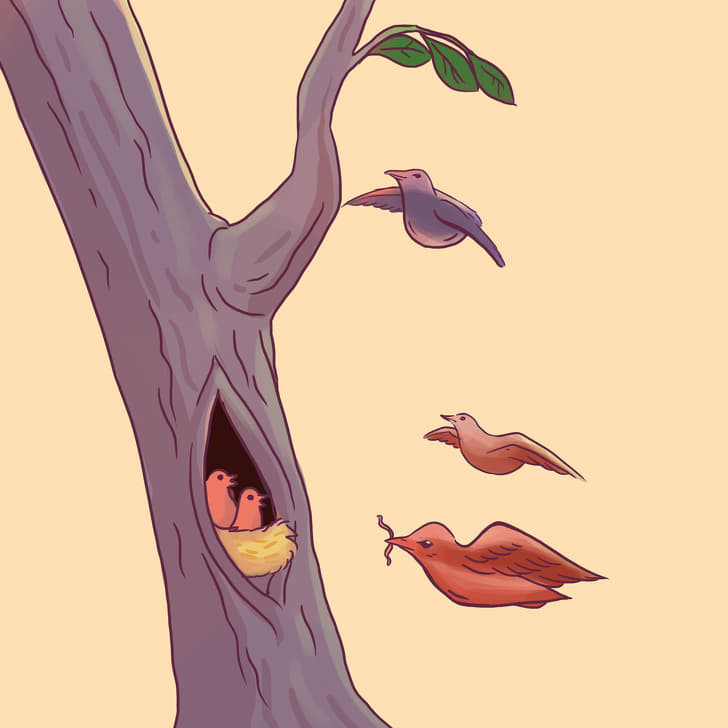 Khuôn mặt: Có vẻ như bạn đã có được một mối tình hoàn hảo. Những con chim và cái cây: Bạn đang chờ đợi một nửa kia.