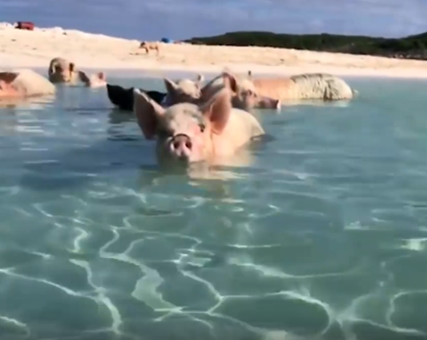 Biển xanh cát trắng với làn nước trong veo.