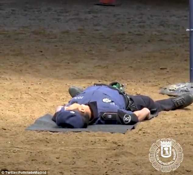 Người huấn luyện giả vờ bất tỉnh.