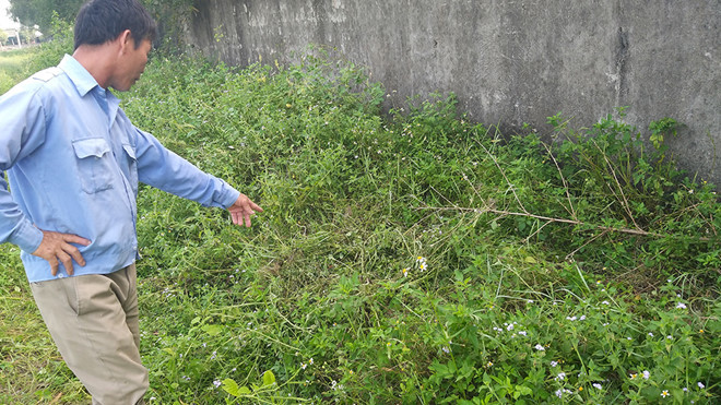 Khu vực cháu H. nghi bị xâm hại. ẢNH: K.HOAN.