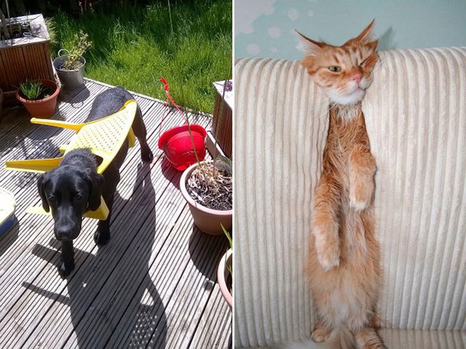 Khi bạn rơi vào tình huống oái ăm và không ai ra tay giúp đỡ.