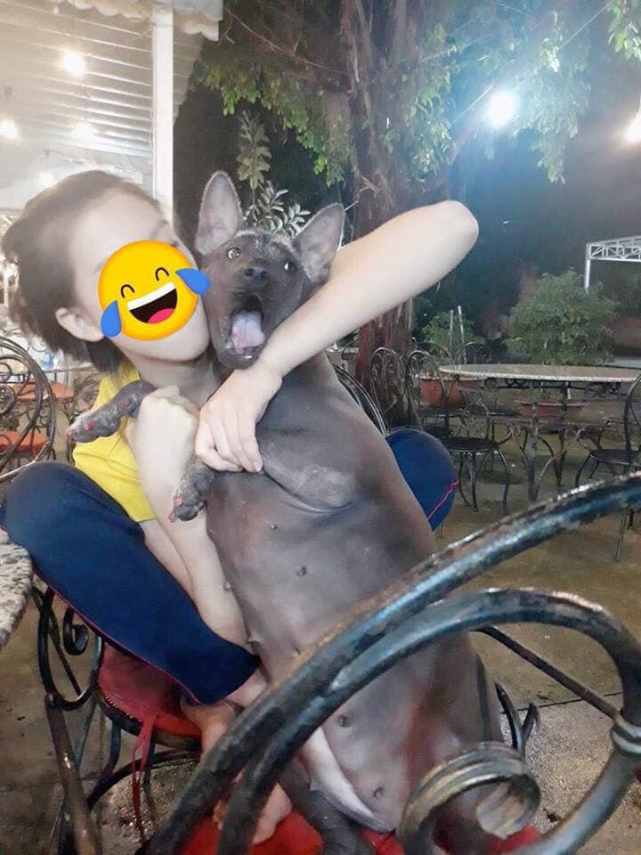 Tạo dáng hài hước cùng chủ nhân.