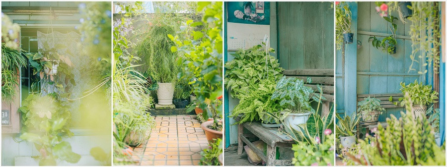 Góc nào trong nhà cũng thấy cỏ cây hoa lá, giống như tên gọi "biệt thự ngàn hoa" mà cộng đồng mạng dành cho ngôi nhà xinh xắn này.