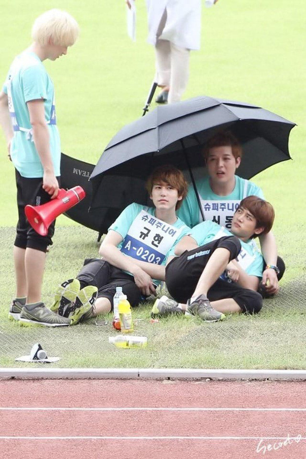 Thật không biết các chàng trai Super Junior đi thi đấu thể thao hay đang tụ họp tán gẫu nữa đó.