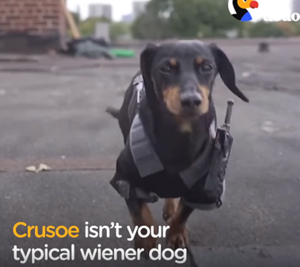 Cảnh sát đang đi làm nhiệm vụ đấy nhé.