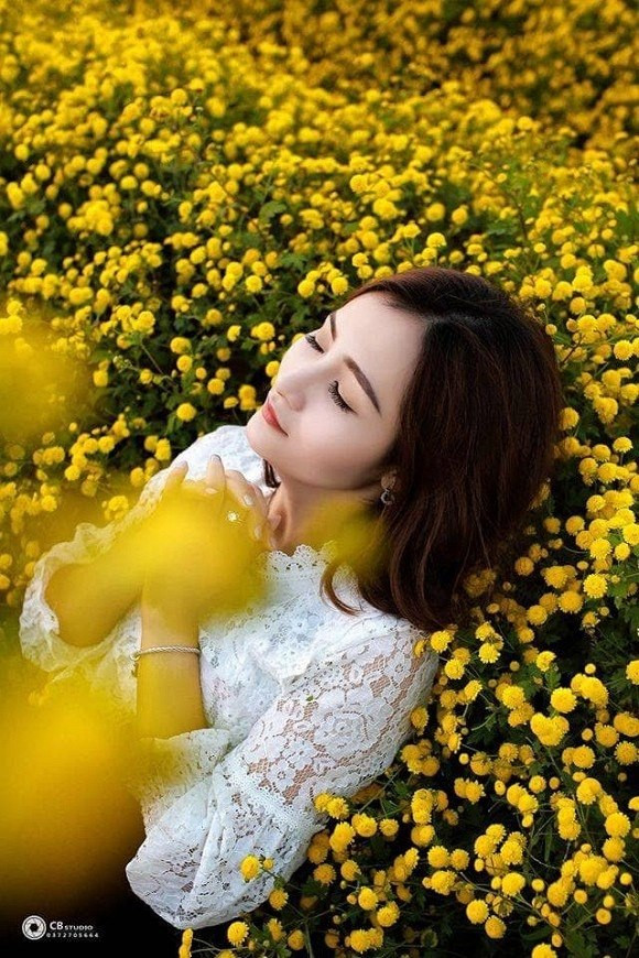 Cánh đồng hoa cúc đang gây sốt nằm ở thông Hoàng Sơn, xã Ninh Tiến, TP. Ninh Bình.