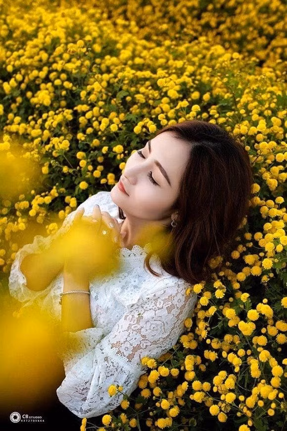 Cánh đồng hoa cúc đang gây sốt nằm ở thông Hoàng Sơn, xã Ninh Tiến, TP. Ninh Bình.