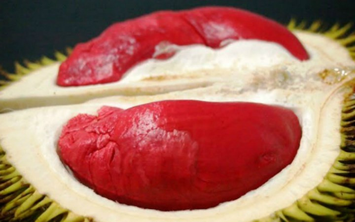 Nếu tại Malaysia sầu riêng ruột đỏ có giá 57.000 - 60.000 đồng/kg thì về Việt Nam được nhiều nơi bán tới 1 triệu đồng/kg. (Ảnh: VnExpress).