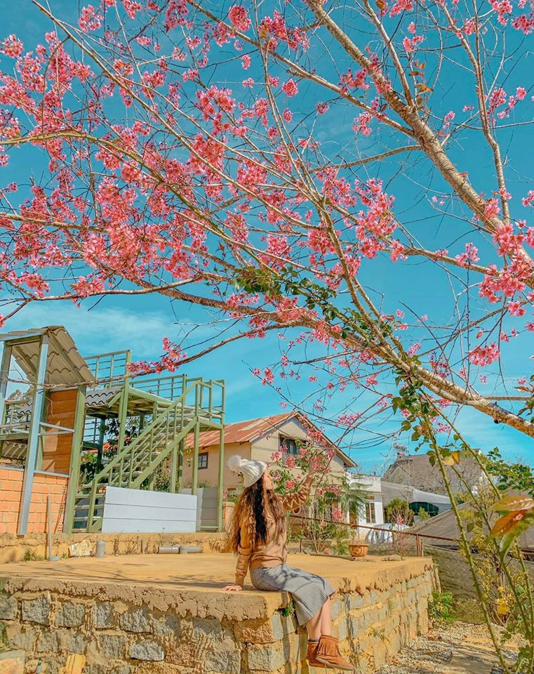 Ảnh: Nguyễn Duy Trường, Bao Tran.