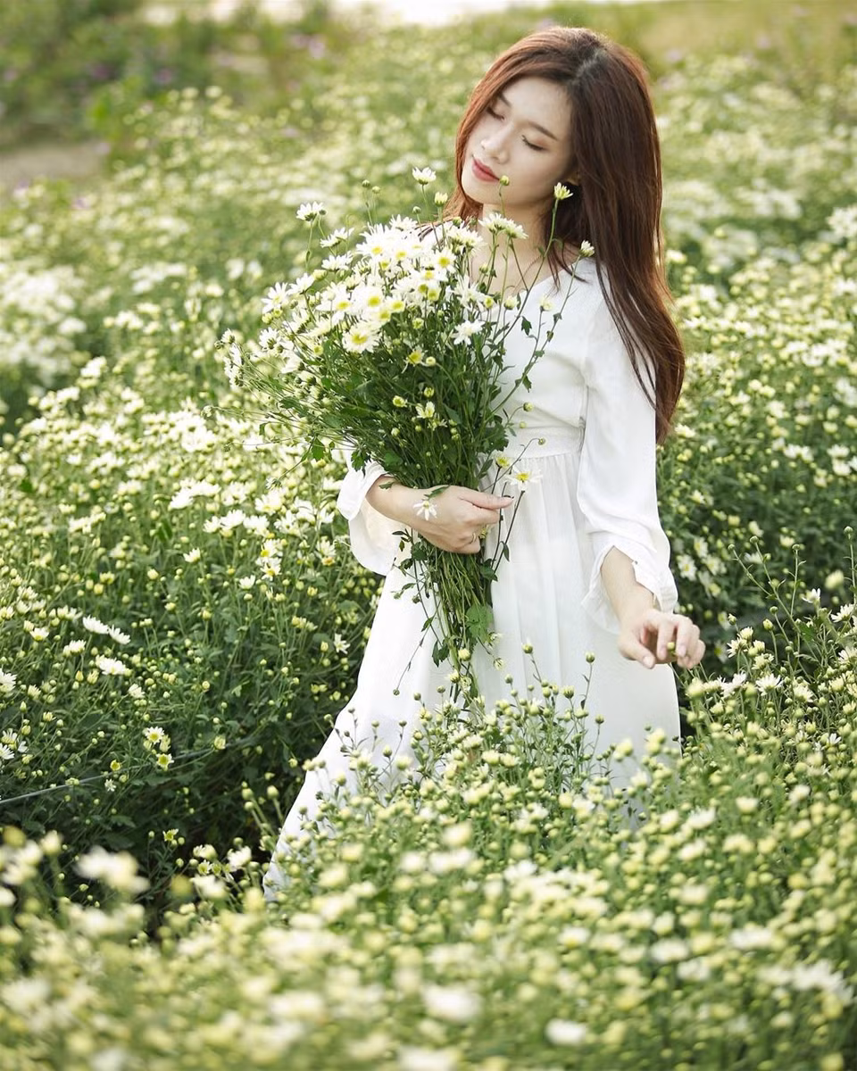"Nhắm mắt thấy cúc họa mi" ở làng hoa rộng mênh mông. (Ảnh: IG @Kira_Tam)