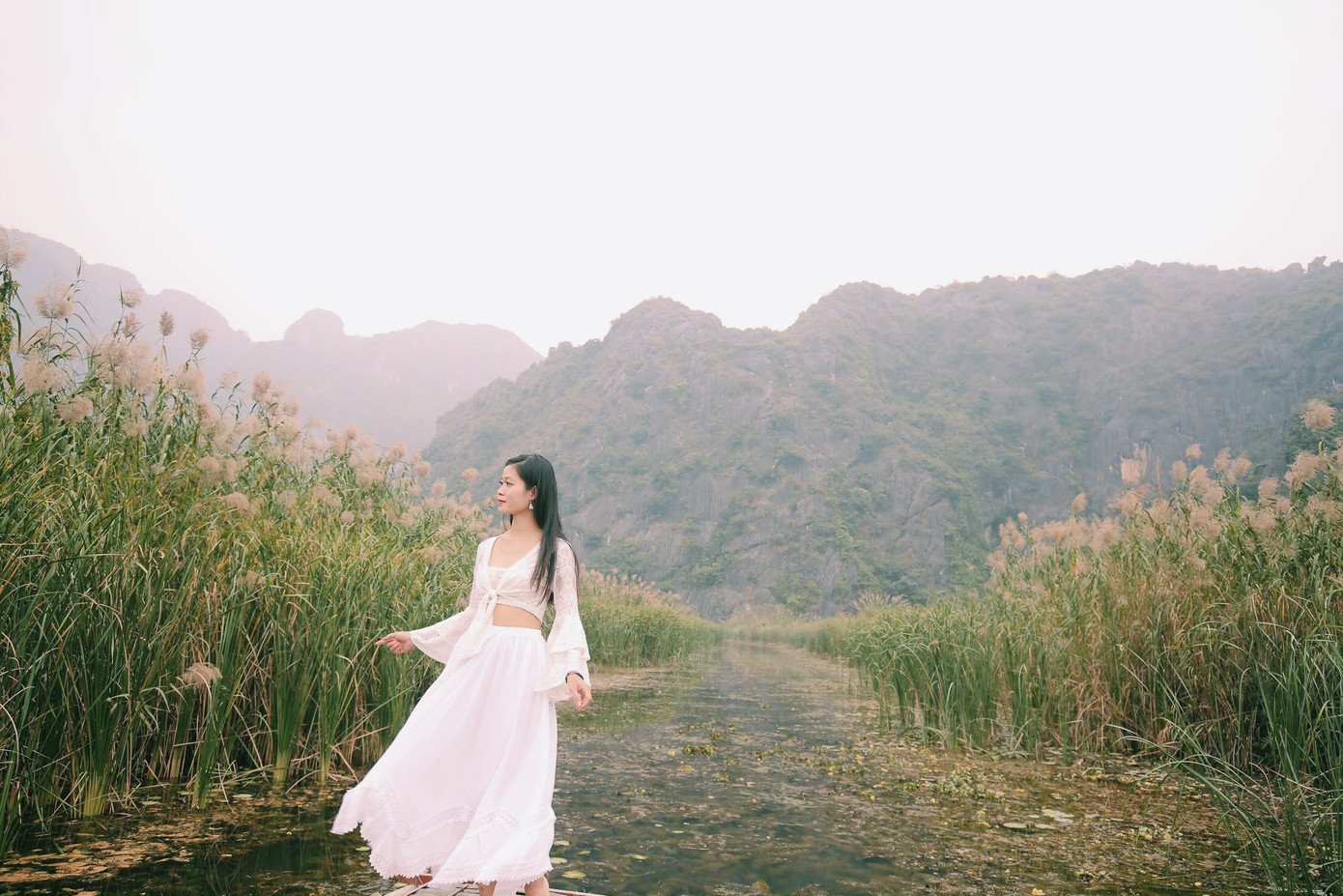 Mùa lau ở đầm Vân Long đẹp như tranh vẽ.