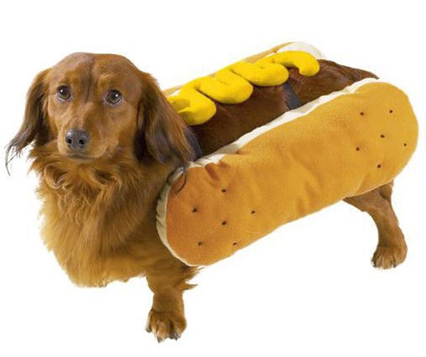 2. Bánh mỳ kẹp thịt