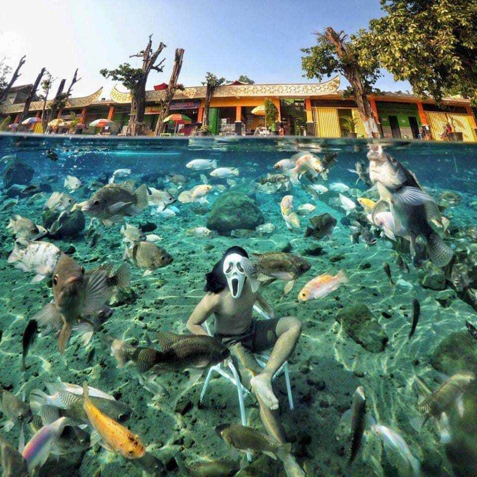 Ảnh: Snoppysnoopy, Dolan Yok.