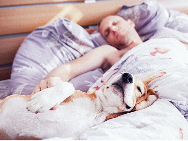 Loài chó đích thị đến từ sao Hỏa, loài mèo chắc chắn đến từ sao Kim ảnh 15