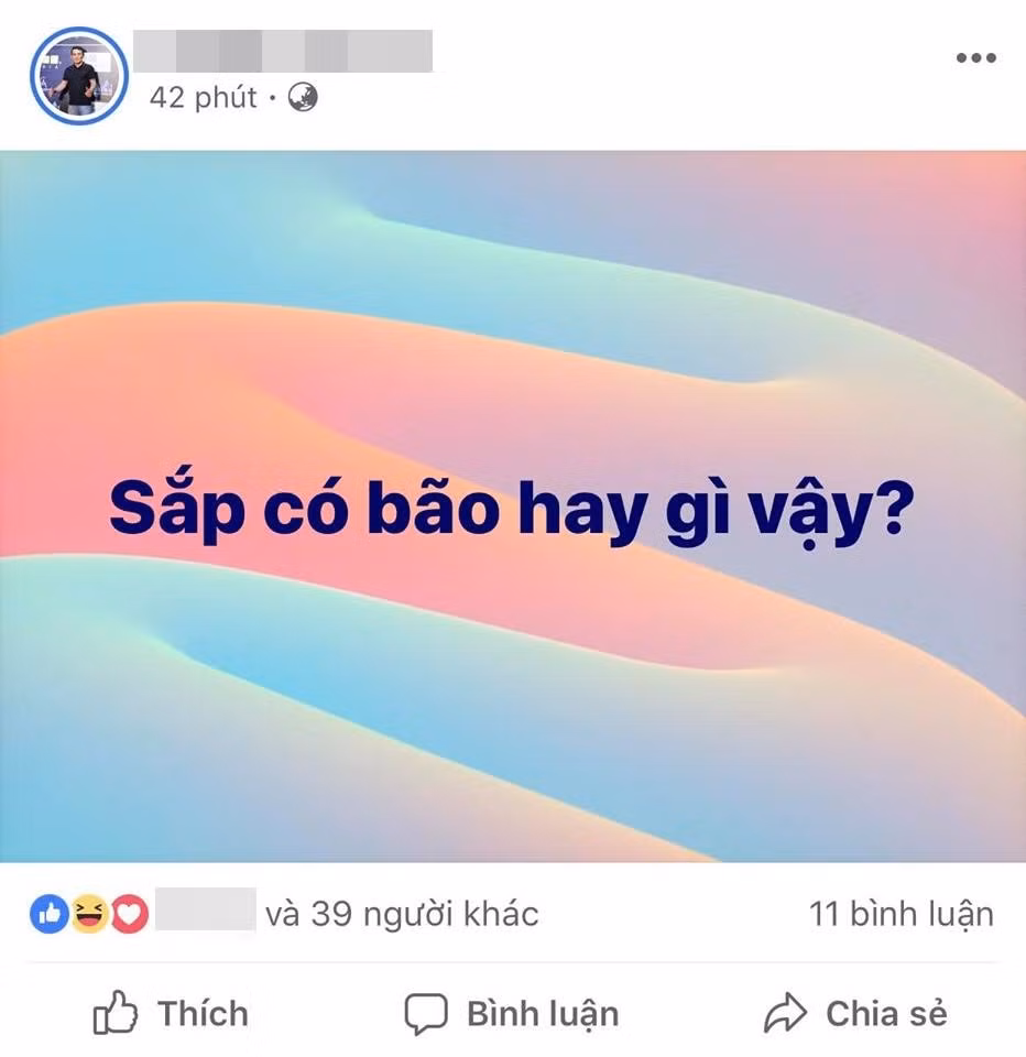 Không ai hiểu chuyện gì đang xảy ra.