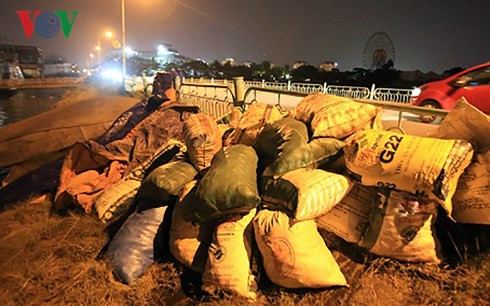 Xác cá được cho vào bao chất hàng đống chờ xe mang đi tiêu hủy.