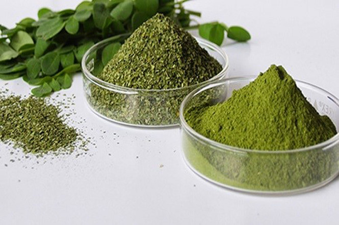 Chùm ngây còn là nguyên liệu dưỡng môi, trị gàu hữu hiệu.