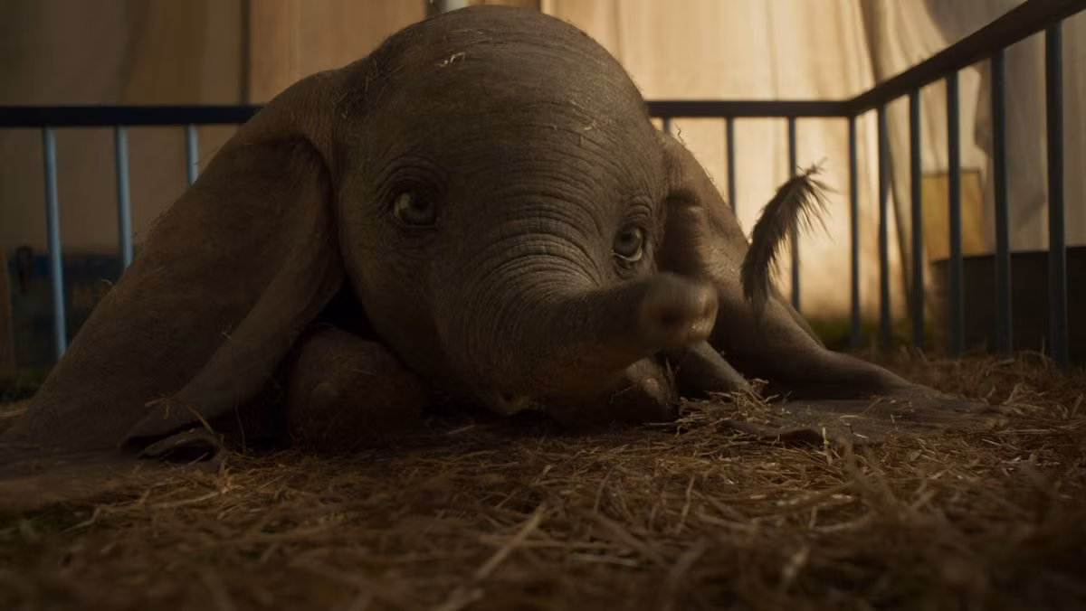 Vì đôi tai to quá khổ, Dumbo bị đồng loài xa lánh...
