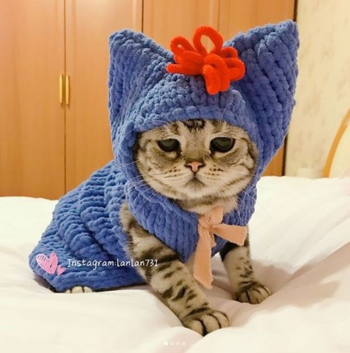 Khi Luhu được “mẹ” trang điểm cho đi chơi Haloween.