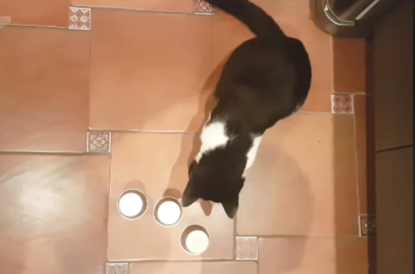 Mệt quá, sao lần nào cũng đoán trúng vậy.