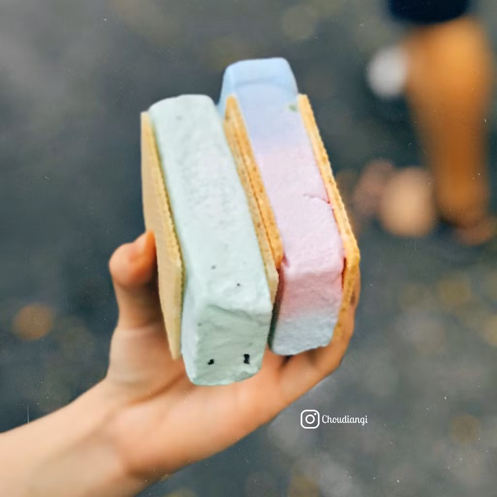 Ảnh: Choudiangi.