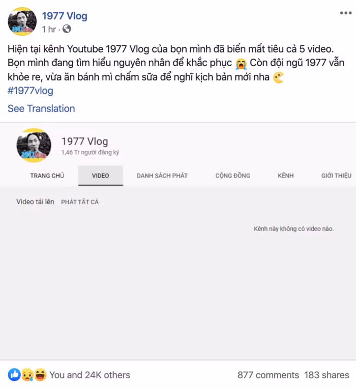 1977 Vlog cho biết đội ngũ vẫn khỏe re, vừa ăn bánh mì chấm sữa để nghĩ kịch bản mới.