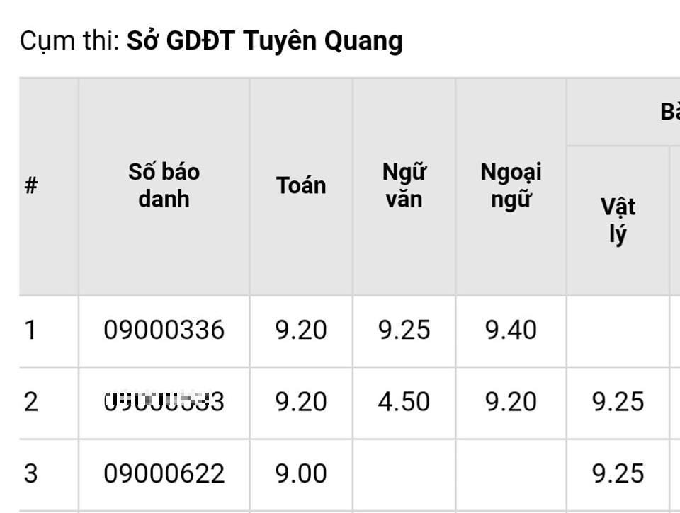 Kết quả thi của S. gây chú ý khi điểm khối A1 rất cao, trong khi dù là học sinh chuyên Sử nhưng điểm môn Văn lại khá thấp.