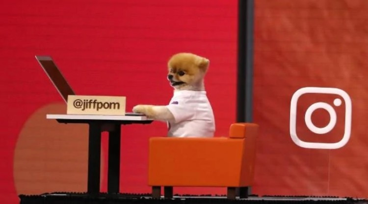 Chẳng run sợ một chút nào trước đám đông, Jiff diễn rất tự tin trước ống kính máy ảnh khi filter hiện lên trên màn hình với khuôn mặt của mình.