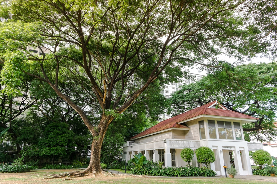 Ở bất cứ góc nào của Chulalongkorn cũng được phủ màu xanh thiên nhiên. (Ảnh: Link Chong)