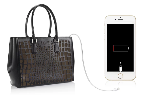 Chiếc túi thông minh này là ý tưởng của một bé gái 8 tuổi! ảnh 4