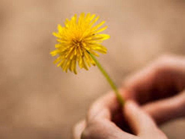 Nhiều người đã học được cách trân trọng cả những điều nhỏ bé nhất.