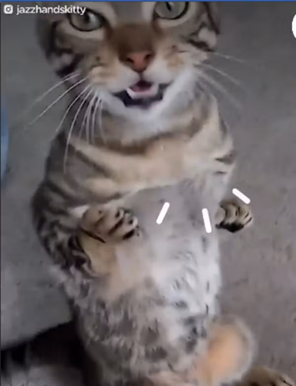 Ngêu ngao mọi lúc mọi nơi.