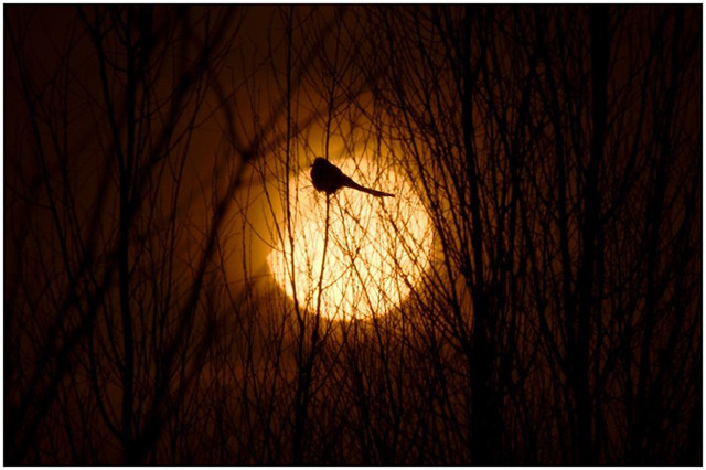 Bức ảnh ghi lại tại Ningxia Hui, Trung Quốc