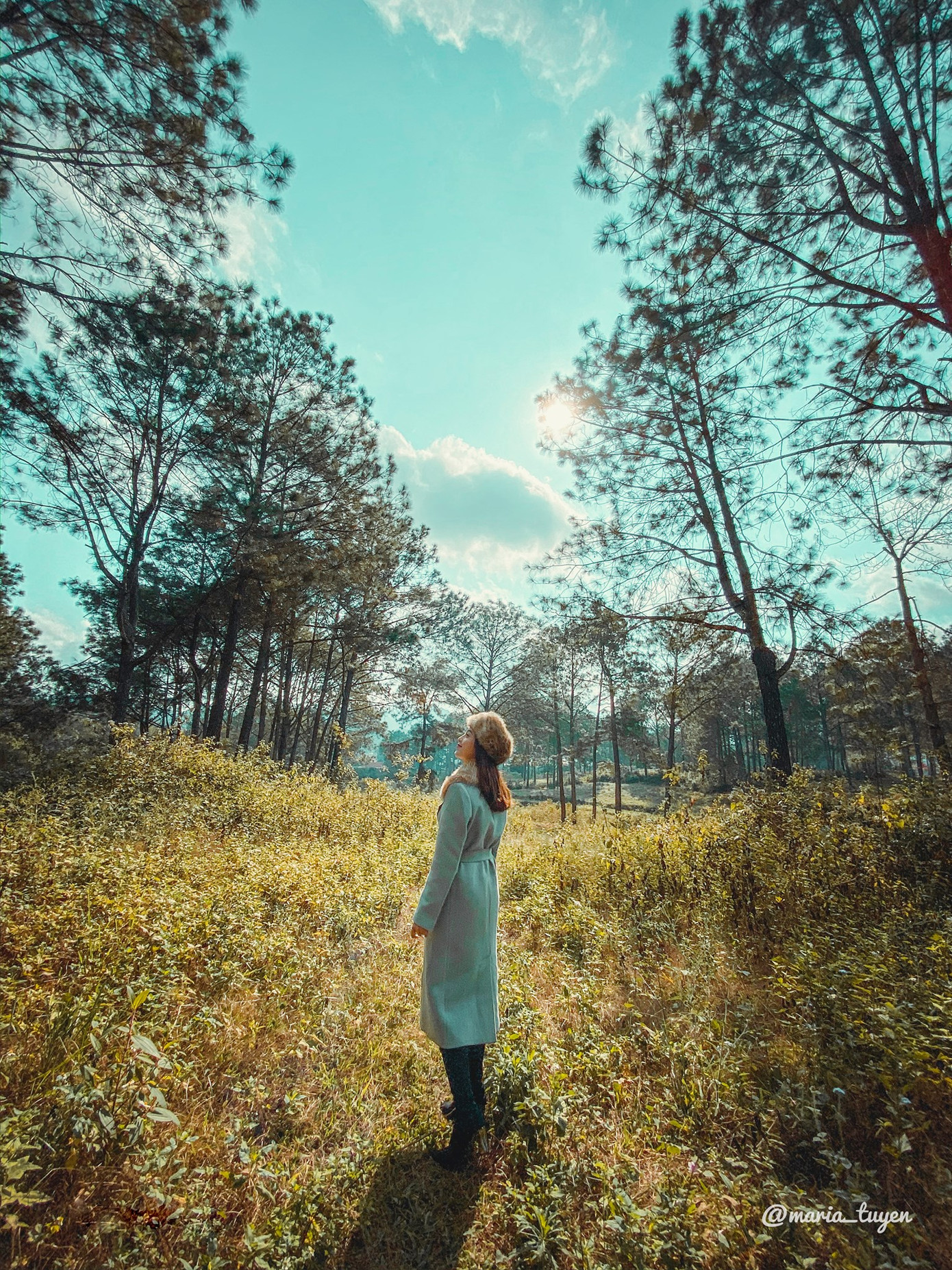 Giống như đang lạc ở một khu rừng nào đó ở xứ sở thần tiên vậy