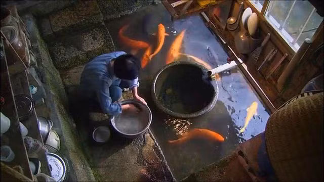 Bể nước nuôi cá cũng là nơi nấu cơm hàng ngày.