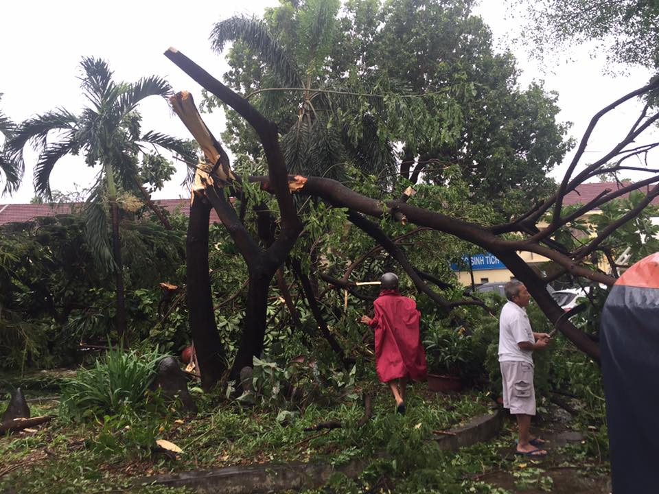 Thầy cô trường Lý Tự Trọng (Nha Trang) thu dọn sân trường